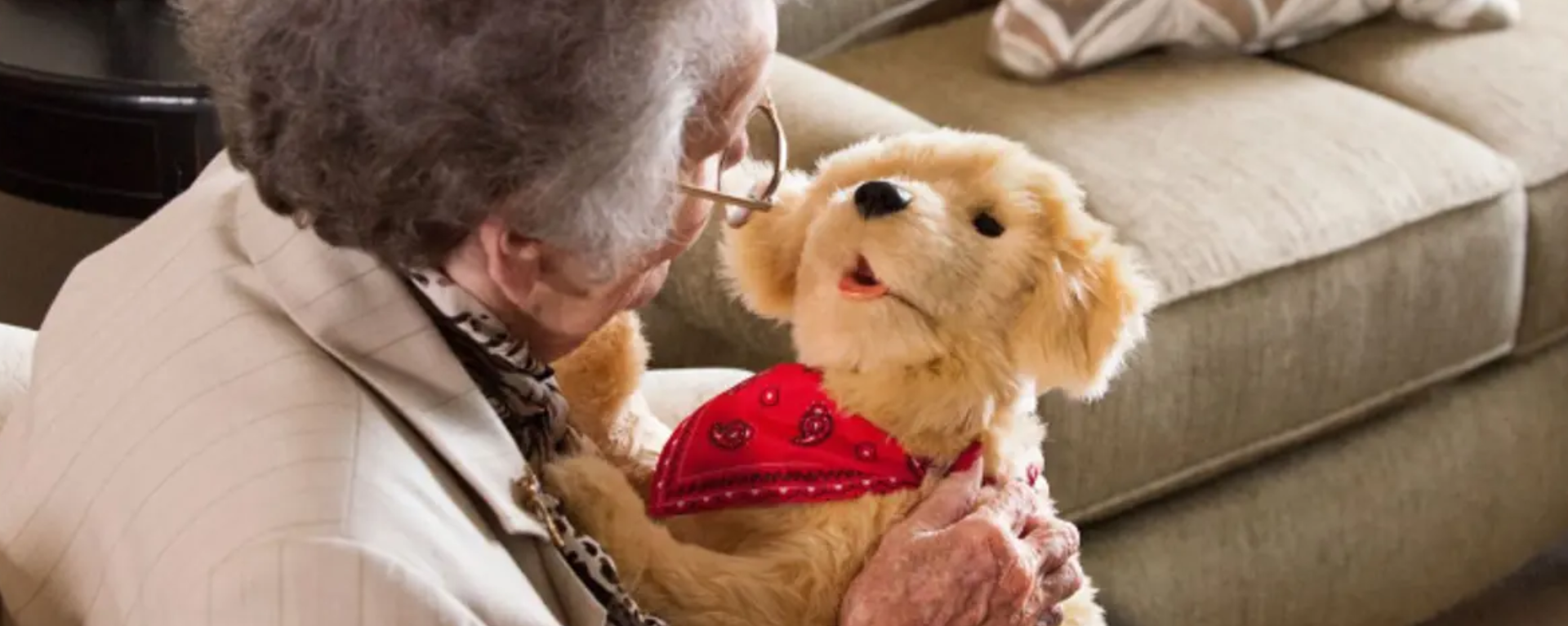 La Implementación de mascotas robots para las residencias geriátricas