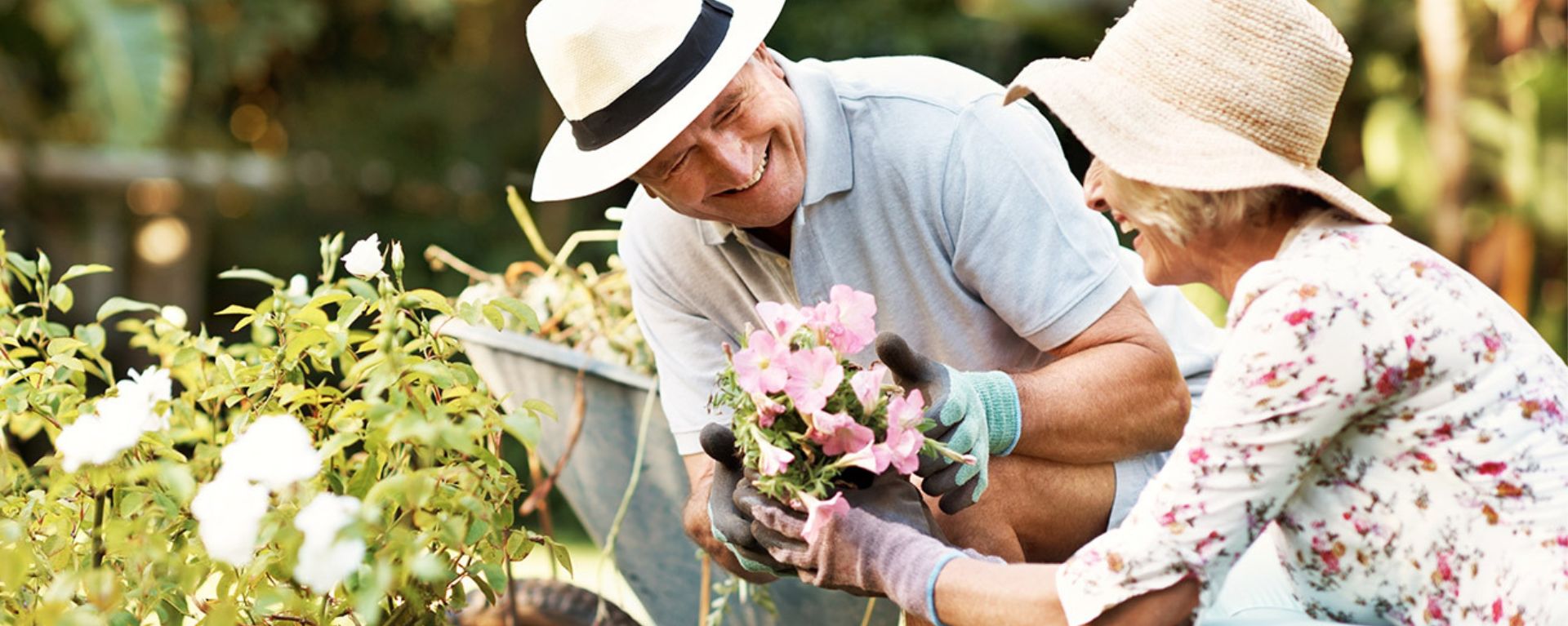 La jardinería como terapia para adultos mayores